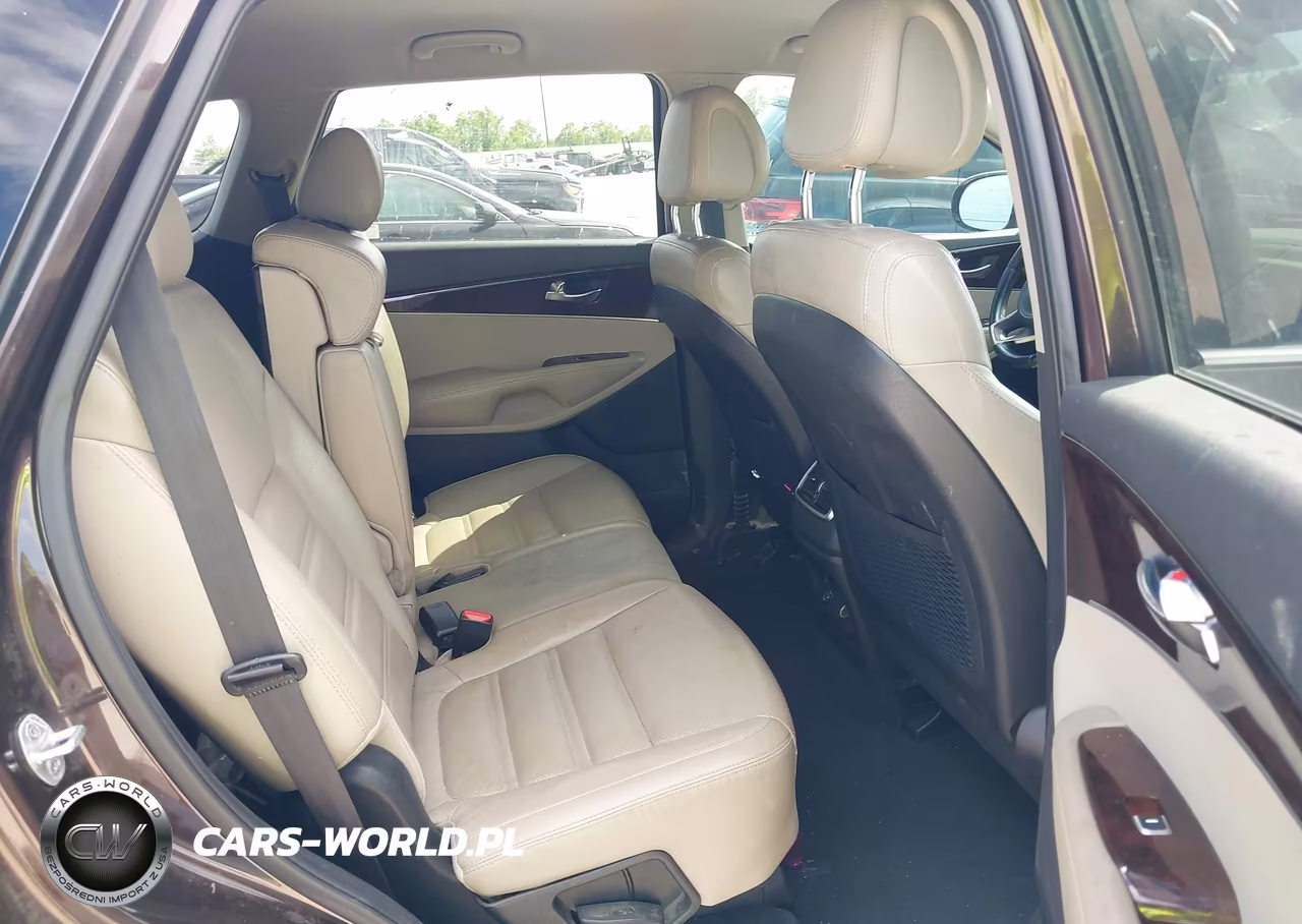 2016 Kia Sorento 3.3L Ex VIN:5XYPH4A52GG135199 - 8