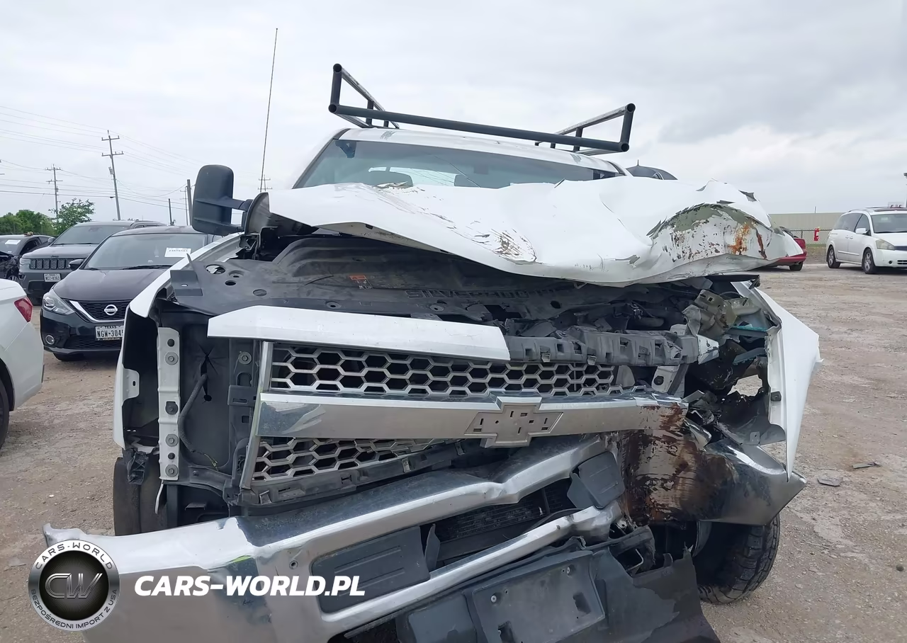 2019 Chevrolet Silverado 2500Hd Wt VIN:2GC2CREG7K1145330 - 12