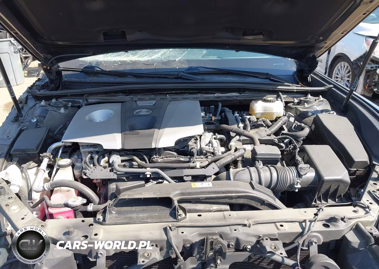 2020 Lexus Es 300H VIN:58AD21B15LU009138 - 10