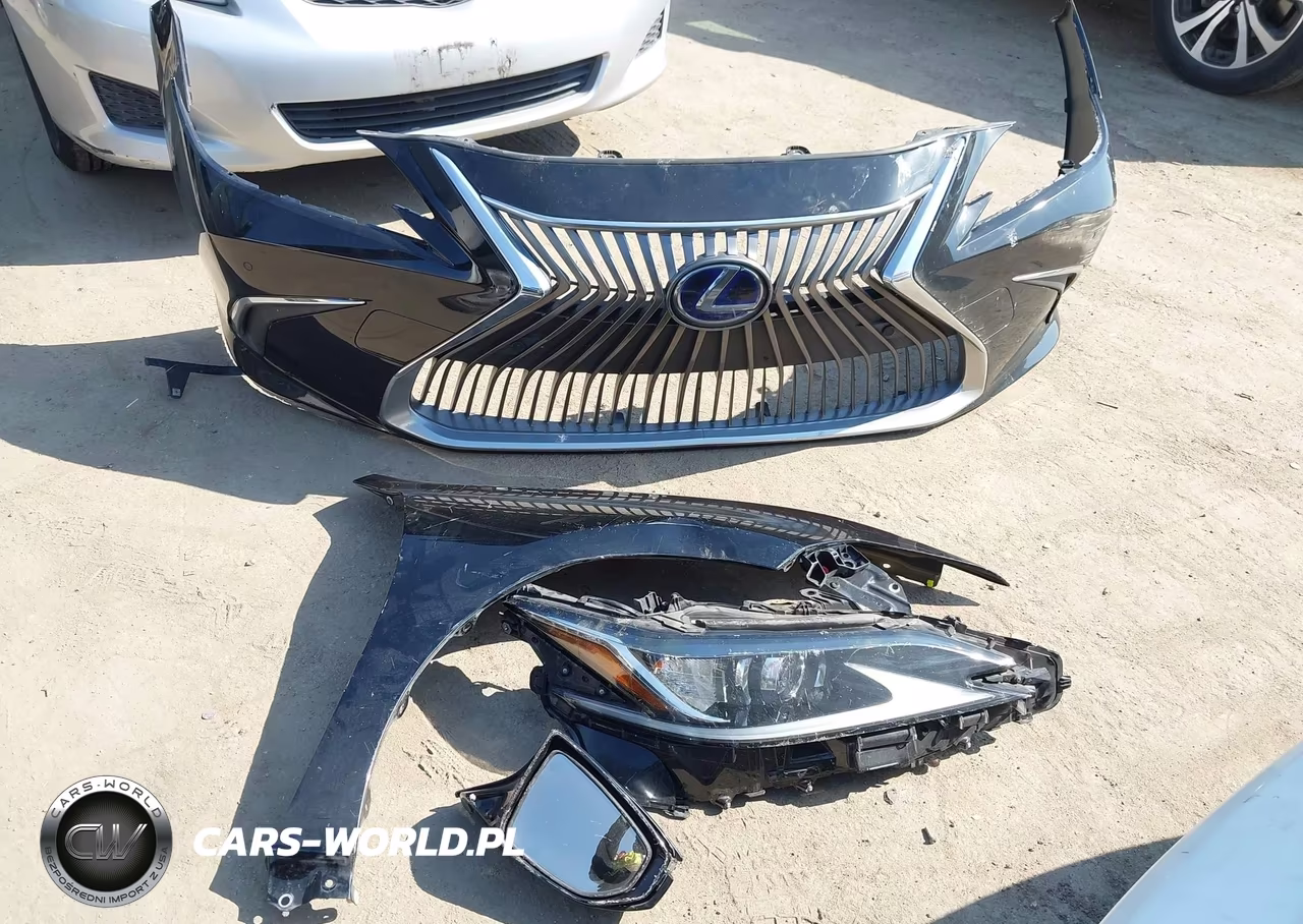 2020 Lexus Es 300H VIN:58AD21B15LU009138 - 12