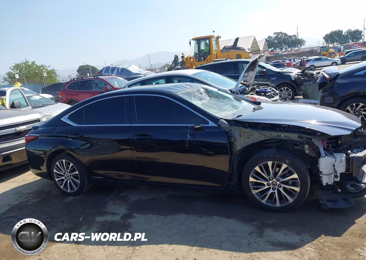 2020 Lexus Es 300H VIN:58AD21B15LU009138 - 14