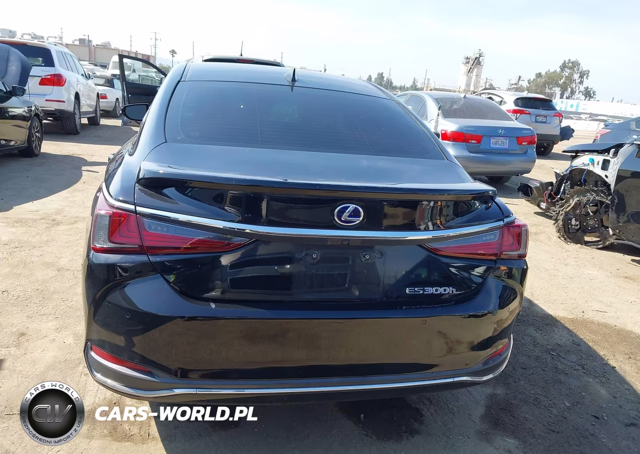 2020 Lexus Es 300H VIN:58AD21B15LU009138 - 17