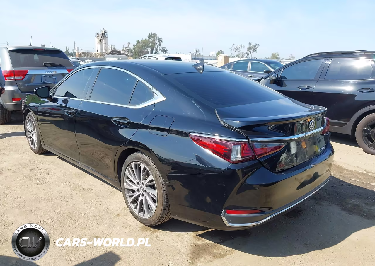 2020 Lexus Es 300H VIN:58AD21B15LU009138 - 3