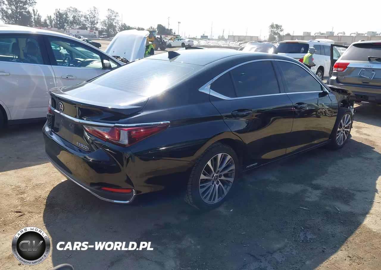 2020 Lexus Es 300H VIN:58AD21B15LU009138 - 4