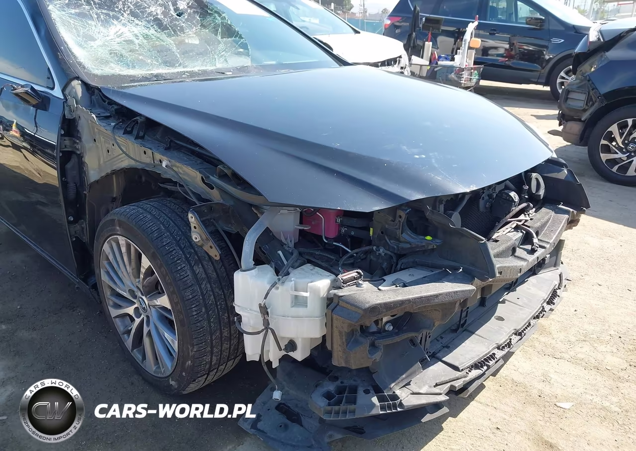 2020 Lexus Es 300H VIN:58AD21B15LU009138 - 6