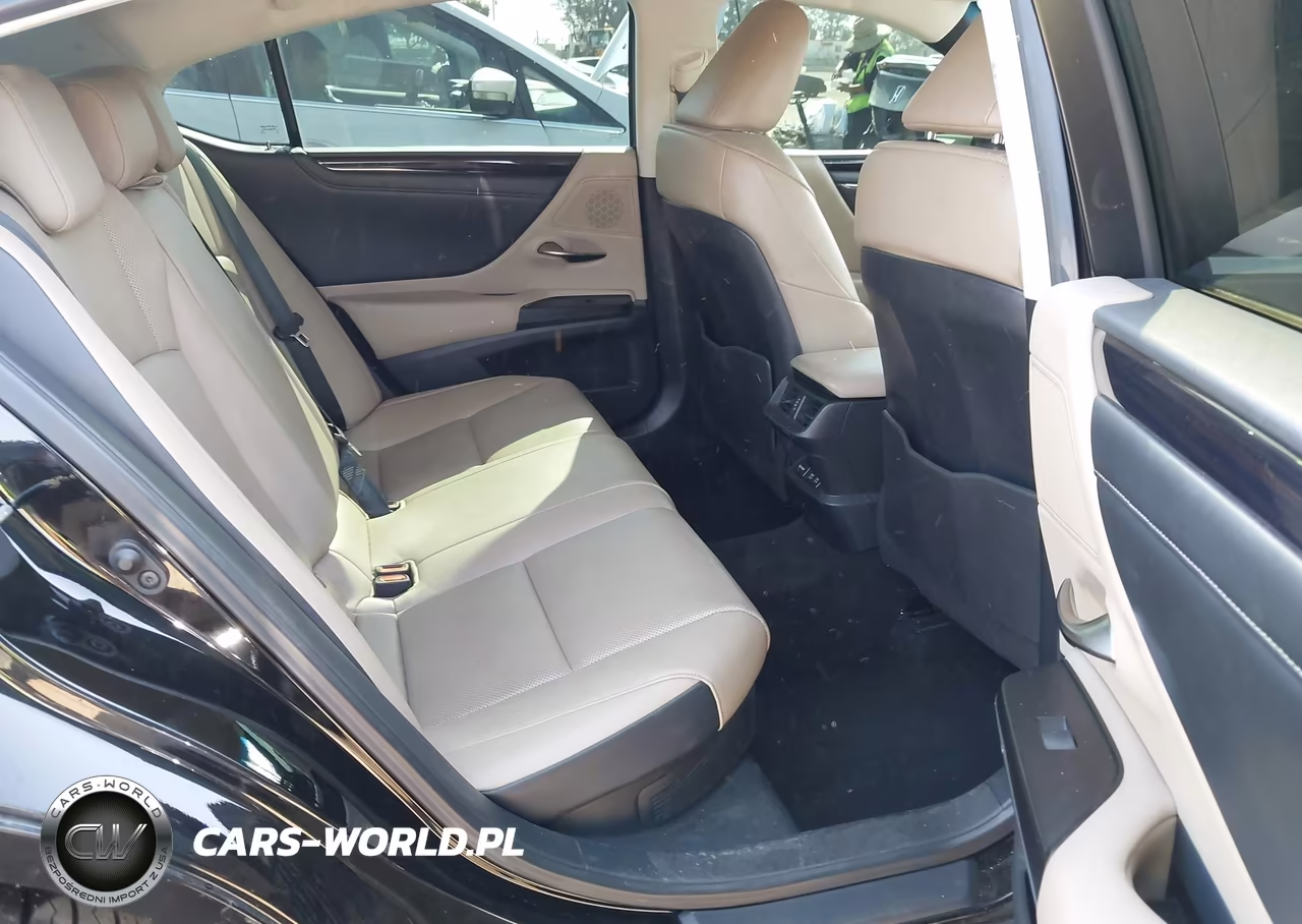 2020 Lexus Es 300H VIN:58AD21B15LU009138 - 8