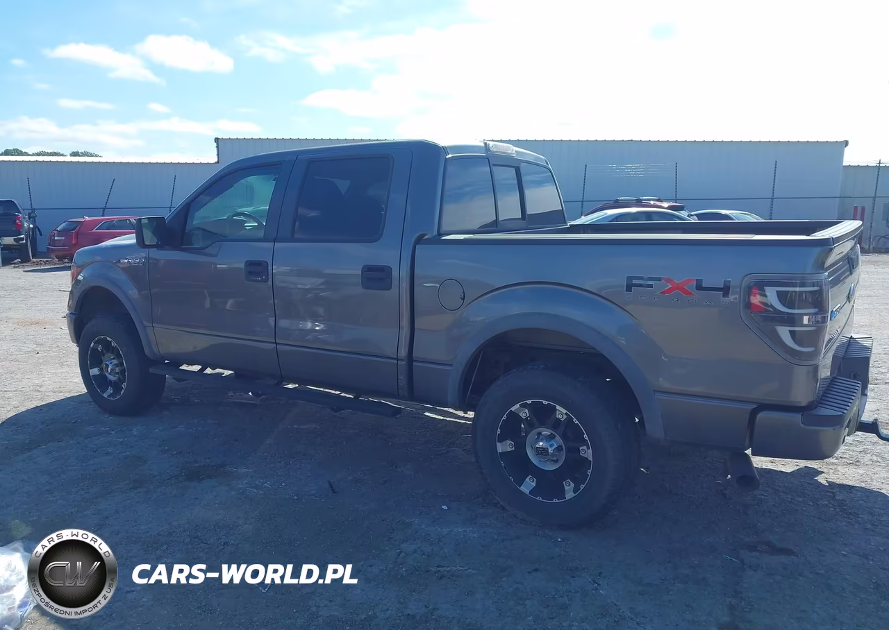 2010 Ford F-150 Fx4-Harley-Davidson-King Ranch-Lariat-Platinum-Xl-Xlt VIN:1FTFW1EV7AFC50448 - 15