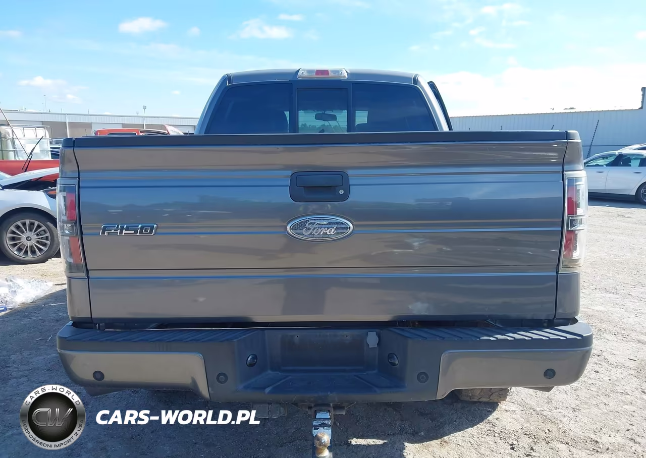 2010 Ford F-150 Fx4-Harley-Davidson-King Ranch-Lariat-Platinum-Xl-Xlt VIN:1FTFW1EV7AFC50448 - 17