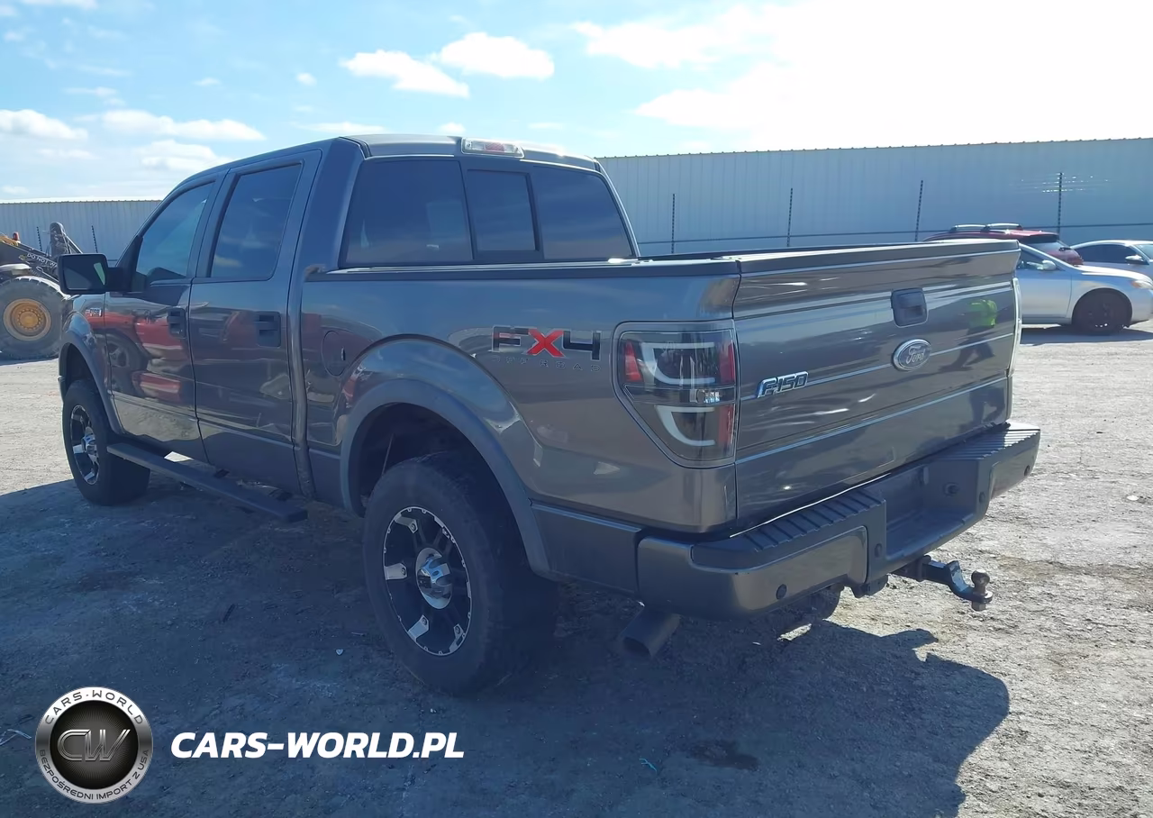 2010 Ford F-150 Fx4-Harley-Davidson-King Ranch-Lariat-Platinum-Xl-Xlt VIN:1FTFW1EV7AFC50448 - 3