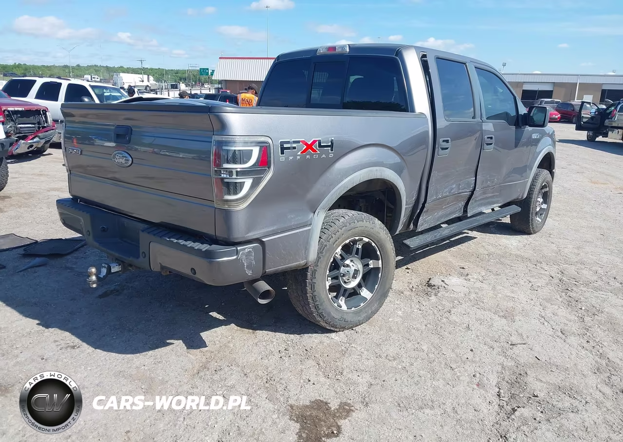2010 Ford F-150 Fx4-Harley-Davidson-King Ranch-Lariat-Platinum-Xl-Xlt VIN:1FTFW1EV7AFC50448 - 4