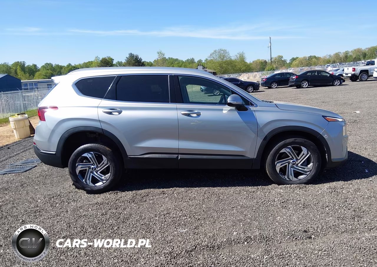 2023 Hyundai Santa Fe Sel VIN:5NMS2DAJ1PH609576 - 13