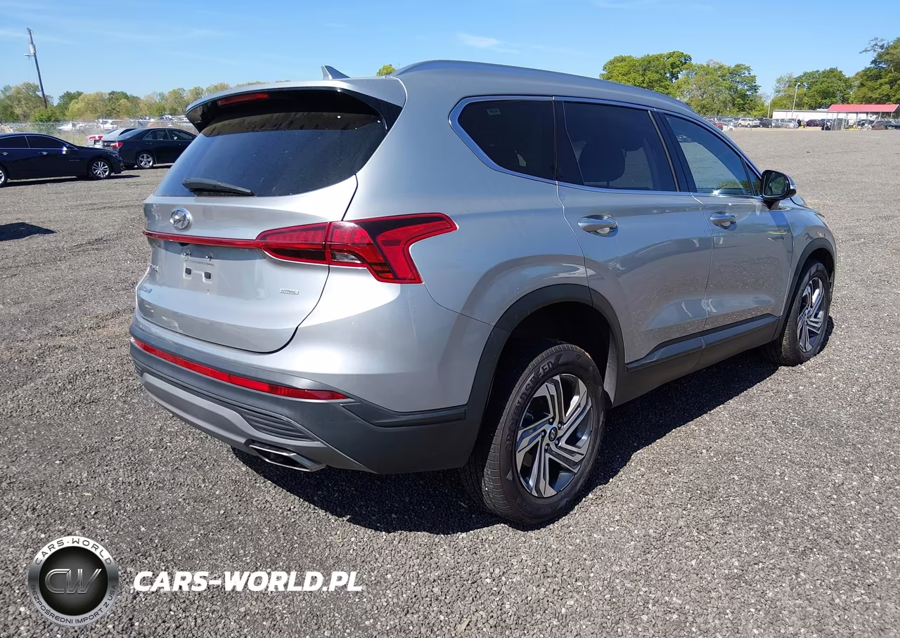 2023 Hyundai Santa Fe Sel VIN:5NMS2DAJ1PH609576 - 4