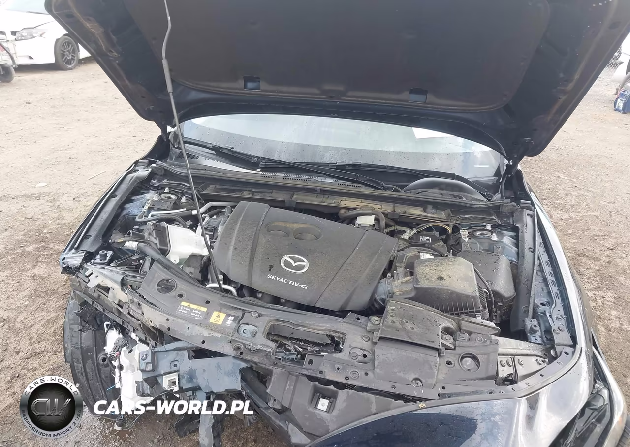 2021 Mazda Mazda3 2.5 S VIN:JM1BPAAL6M1316165 - 10