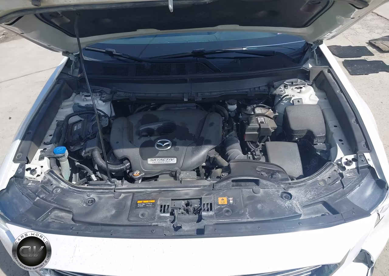 2016 Mazda Cx-9 Touring VIN:JM3TCBCY6G0103197 - 10