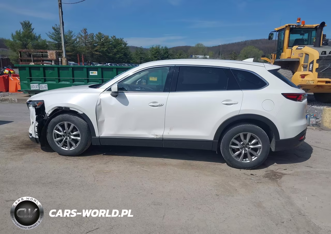2016 Mazda Cx-9 Touring VIN:JM3TCBCY6G0103197 - 15