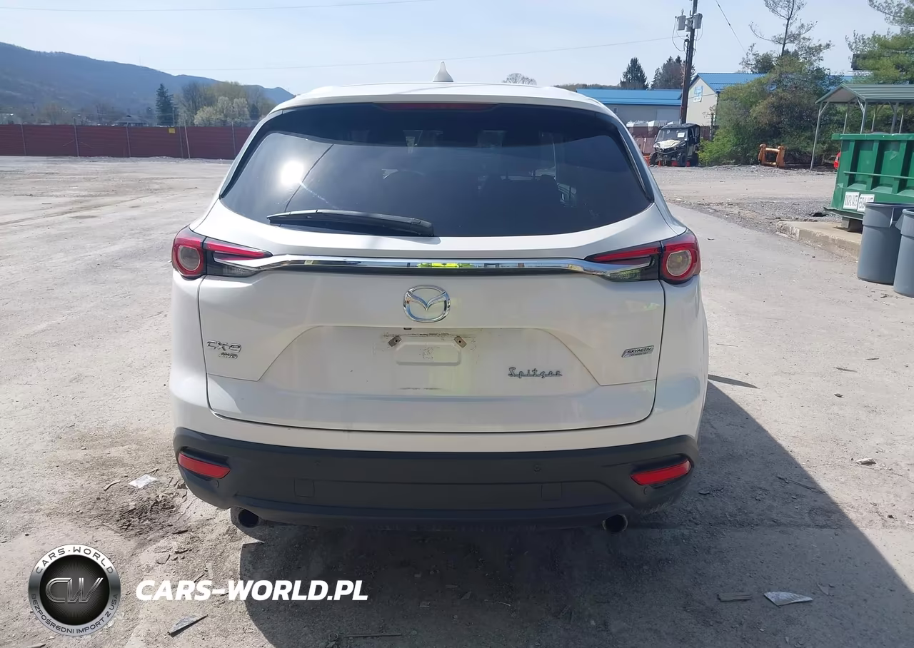 2016 Mazda Cx-9 Touring VIN:JM3TCBCY6G0103197 - 17