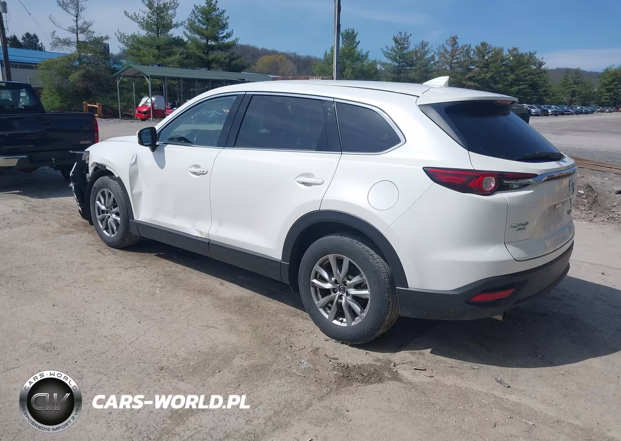 2016 Mazda Cx-9 Touring VIN:JM3TCBCY6G0103197 - 3