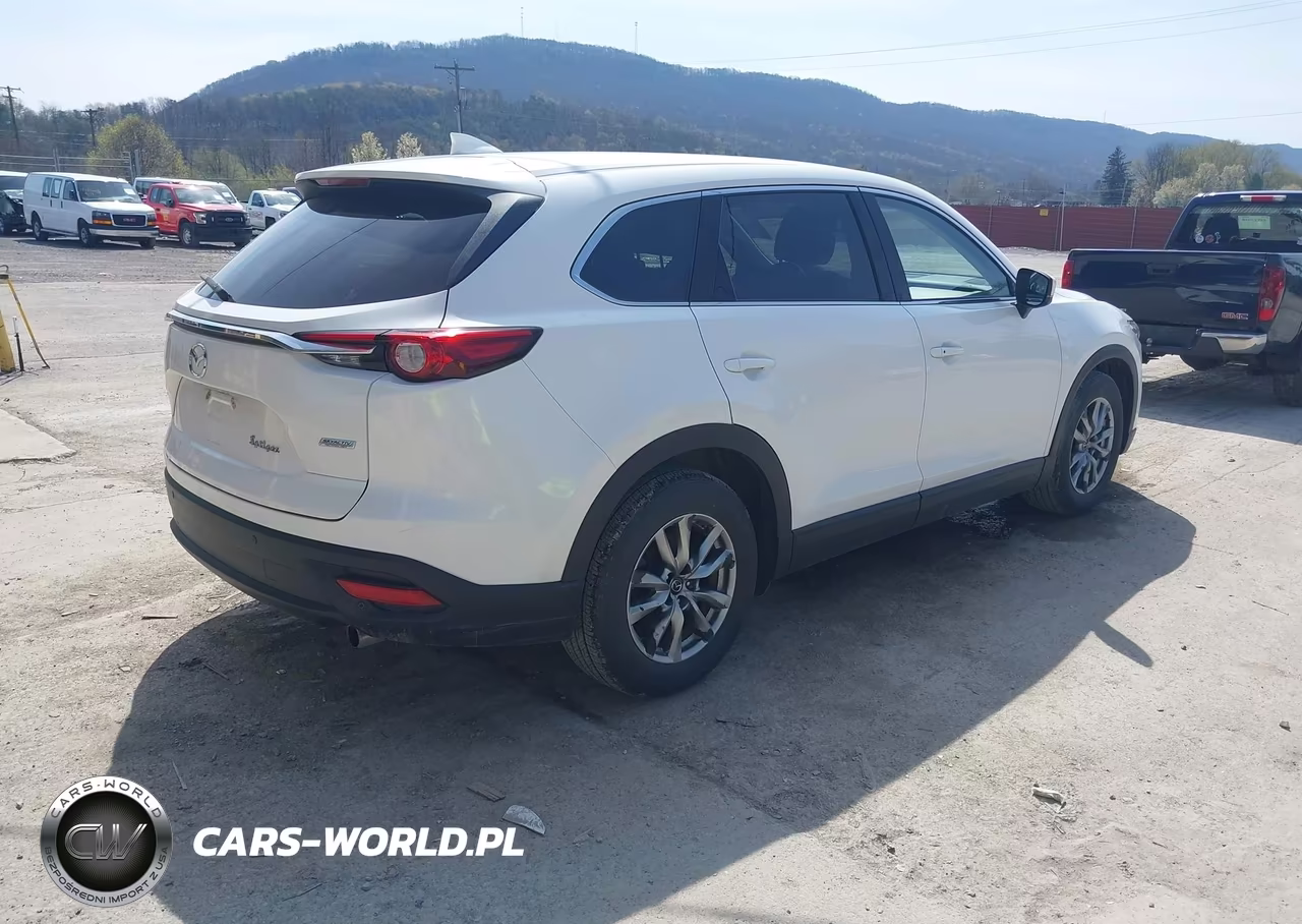 2016 Mazda Cx-9 Touring VIN:JM3TCBCY6G0103197 - 4