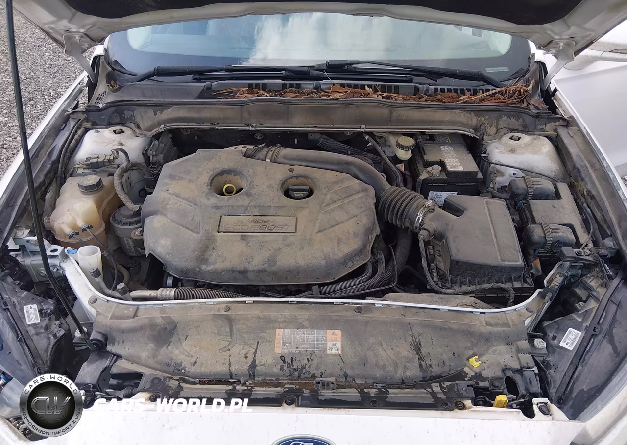 2016 Ford Fusion Titanium VIN:3FA6P0K93GR243612 - 10