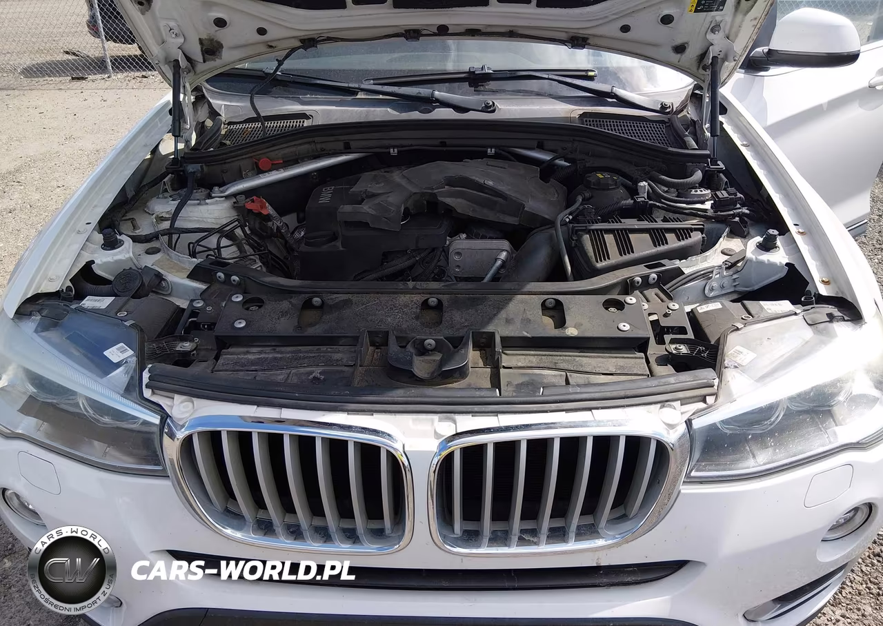 2017 BMW X3 Sdrive28I VIN:5UXWZ7C59H0U46206 - 10