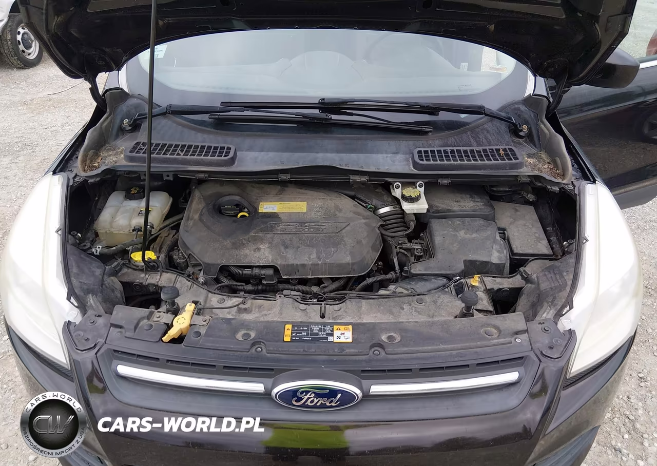 2013 Ford Escape Se VIN:1FMCU0GX5DUB65430 - 10