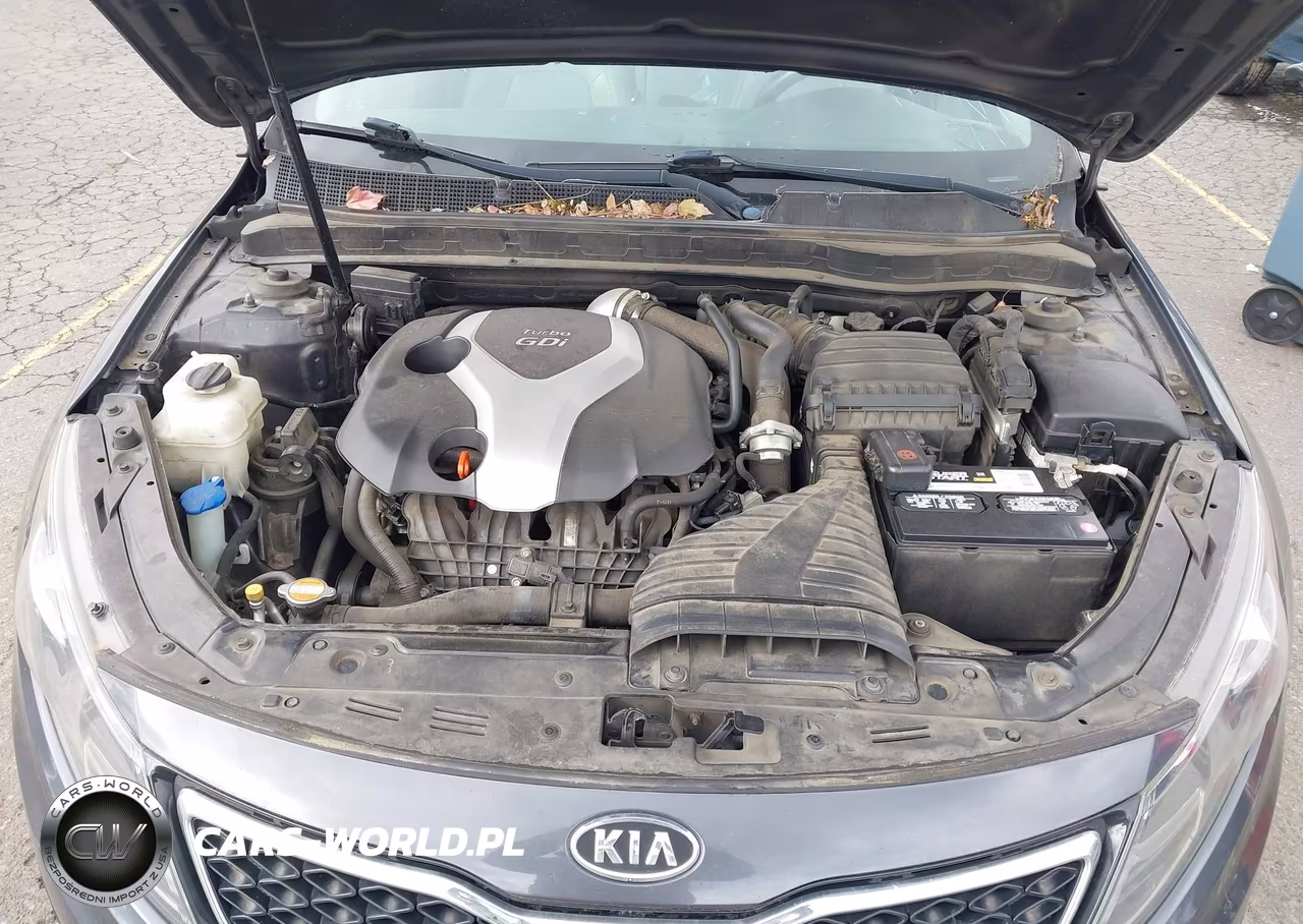 2011 Kia Optima Ex Turbo VIN:KNAGN4A66B5131799 - 10