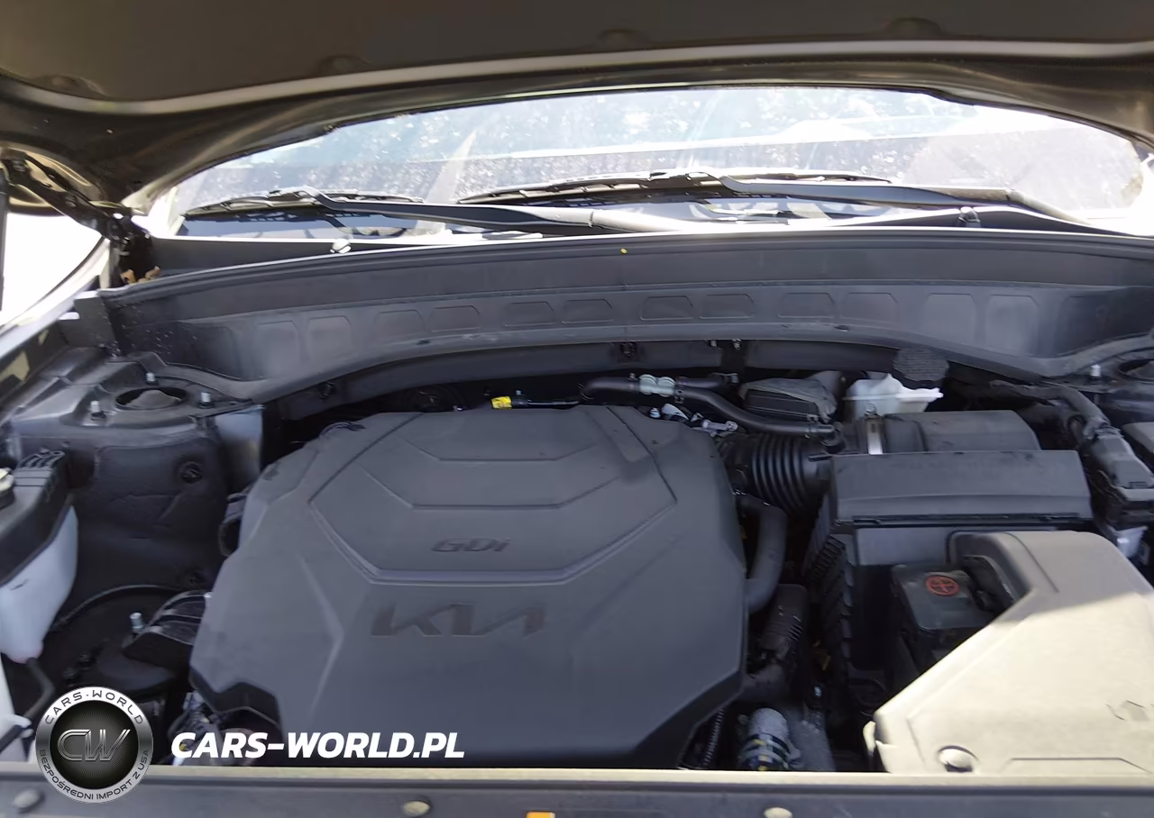 2025 Kia Telluride Ex X-Line VIN:5XYP3DGCXSG571425 - 10