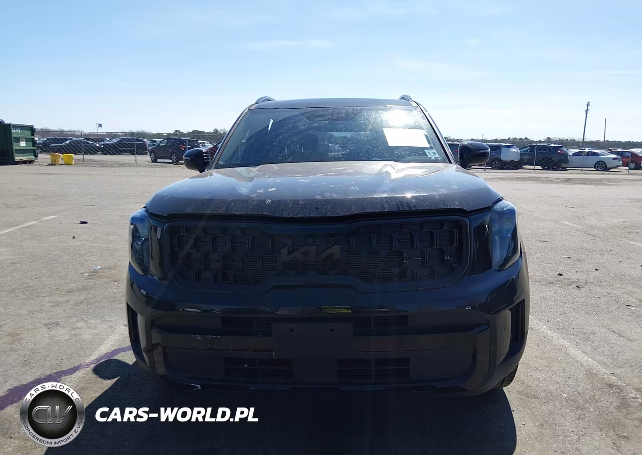 2025 Kia Telluride Ex X-Line VIN:5XYP3DGCXSG571425 - 12