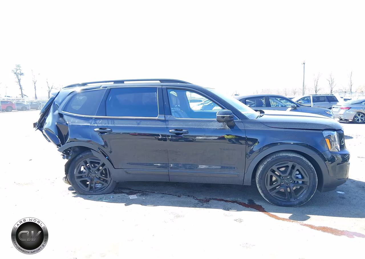 2025 Kia Telluride Ex X-Line VIN:5XYP3DGCXSG571425 - 13