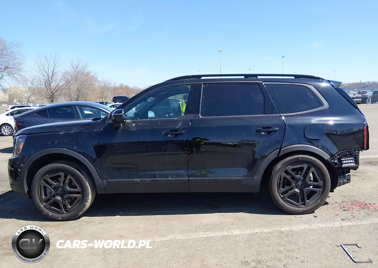 2025 Kia Telluride Ex X-Line VIN:5XYP3DGCXSG571425 - 14
