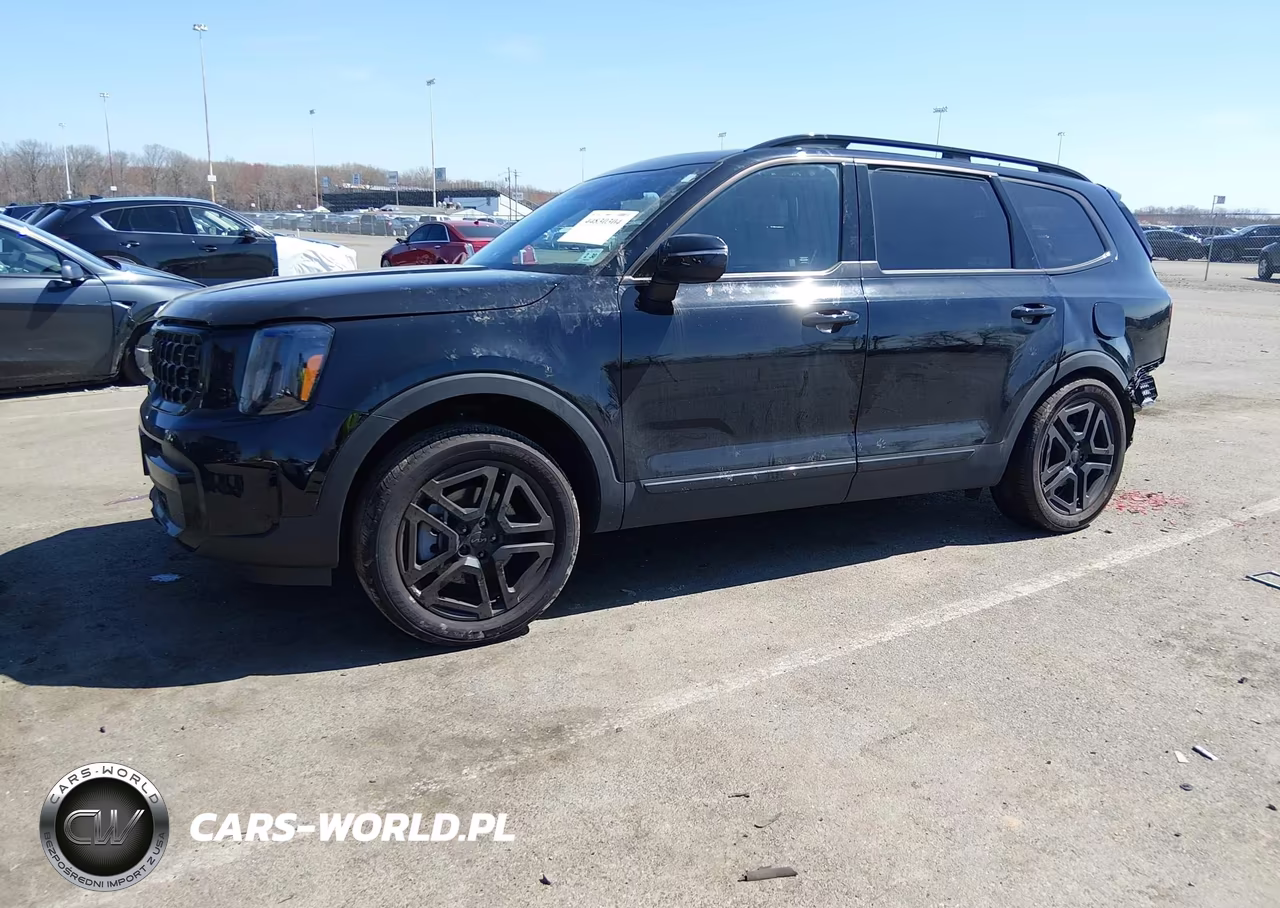 2025 Kia Telluride Ex X-Line VIN:5XYP3DGCXSG571425 - 2