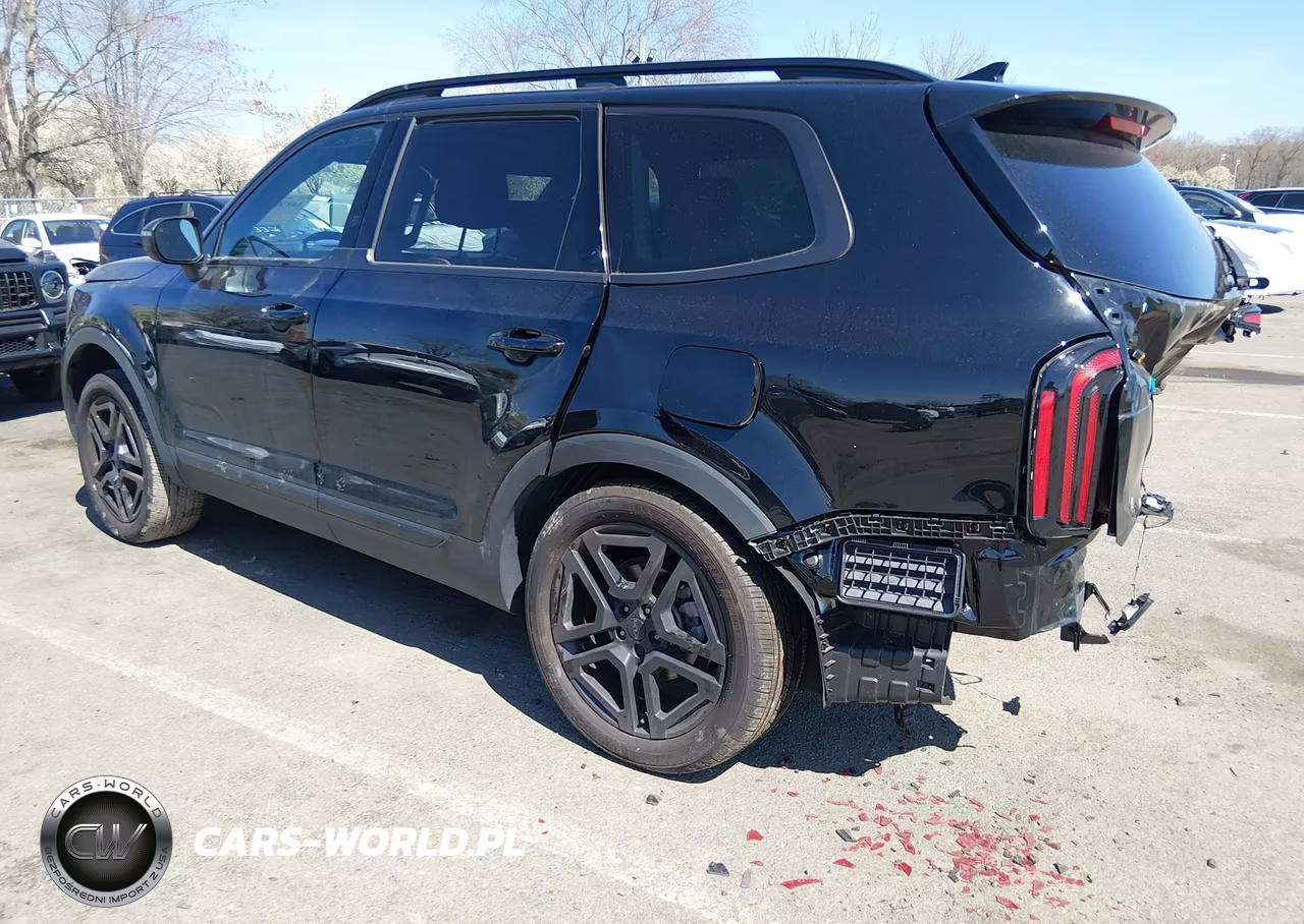 2025 Kia Telluride Ex X-Line VIN:5XYP3DGCXSG571425 - 3