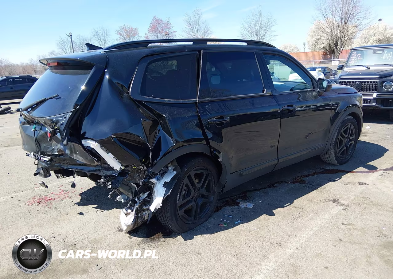 2025 Kia Telluride Ex X-Line VIN:5XYP3DGCXSG571425 - 4