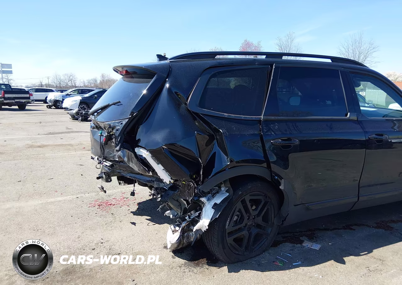 2025 Kia Telluride Ex X-Line VIN:5XYP3DGCXSG571425 - 6
