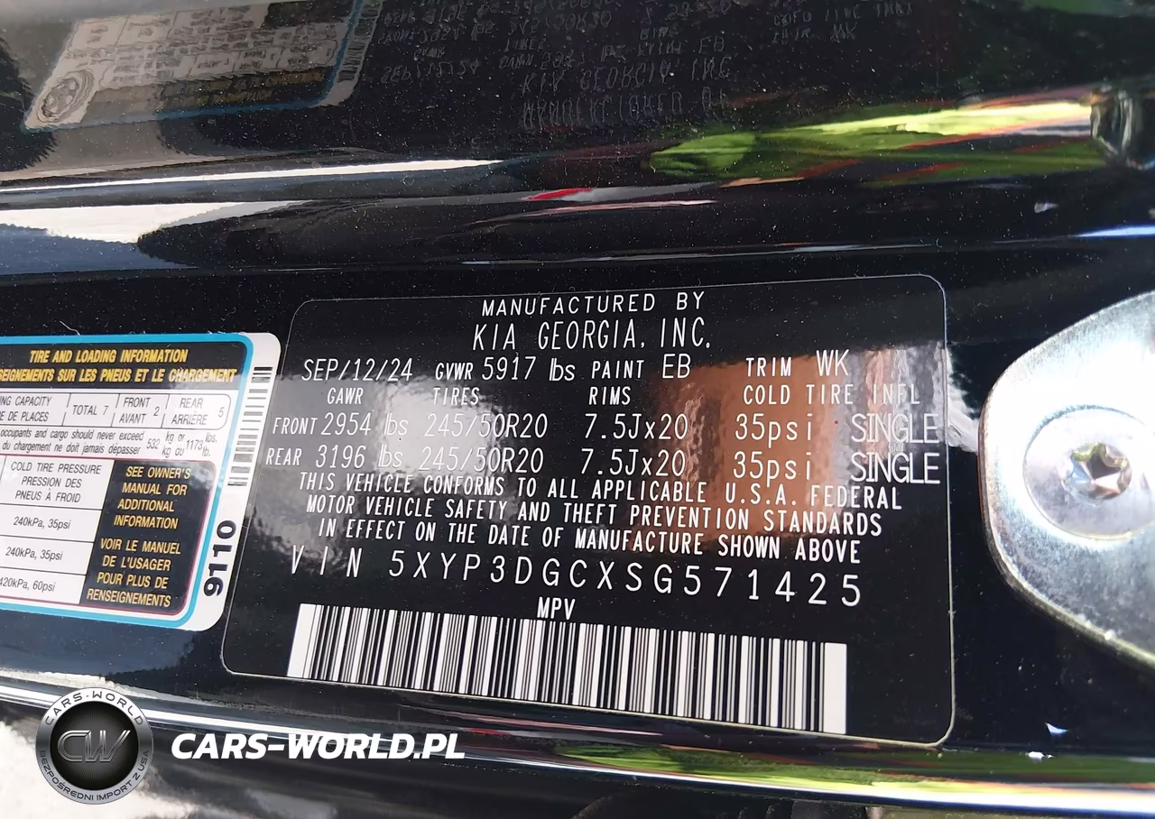 2025 Kia Telluride Ex X-Line VIN:5XYP3DGCXSG571425 - 9