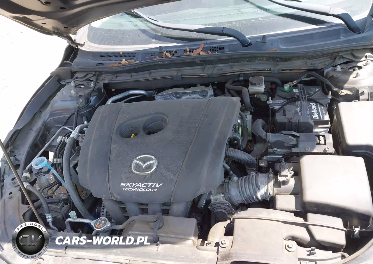 2014 Mazda Mazda3 I Sport VIN:JM1BM1U72E1186071 - 10