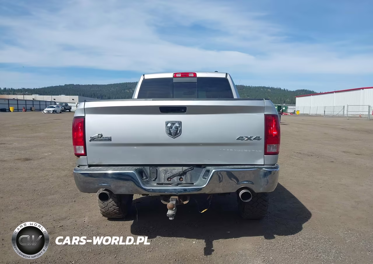 2010 Dodge Ram 1500 Slt-Sport-Trx VIN:1D7RV1GT4AS157878 - 16