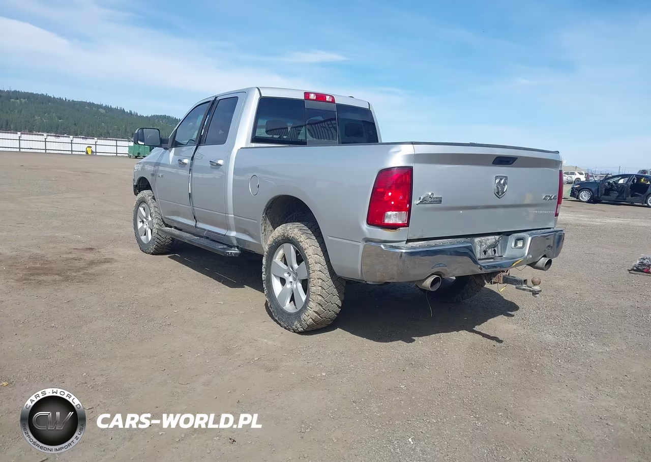 2010 Dodge Ram 1500 Slt-Sport-Trx VIN:1D7RV1GT4AS157878 - 3