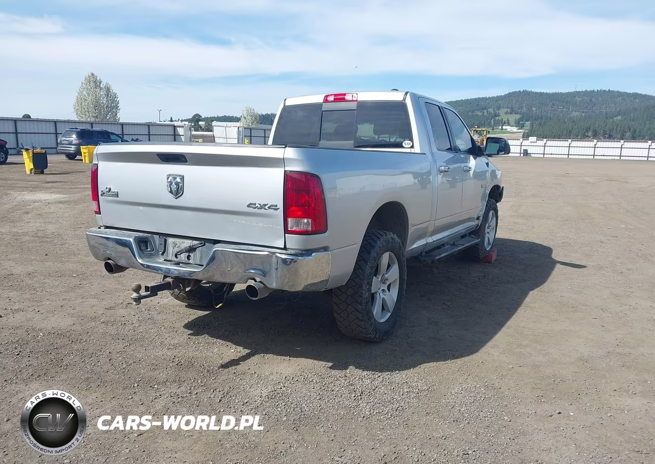 2010 Dodge Ram 1500 Slt-Sport-Trx VIN:1D7RV1GT4AS157878 - 4