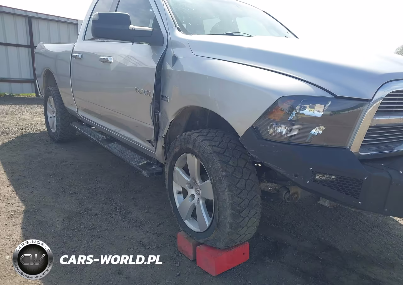 2010 Dodge Ram 1500 Slt-Sport-Trx VIN:1D7RV1GT4AS157878 - 6