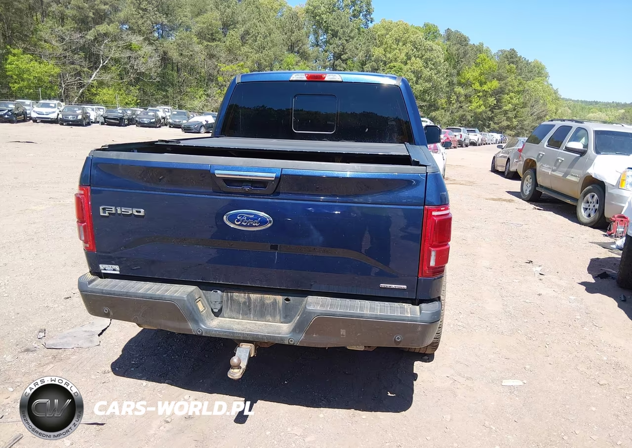 2015 Ford F-150 Lariat VIN:1FTEW1EF8FFC70915 - 17