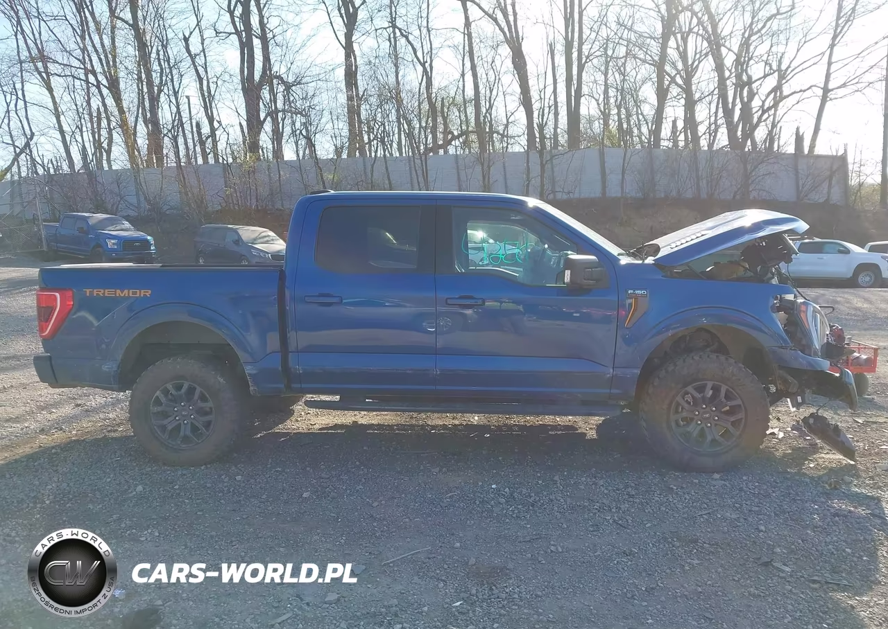 2022 Ford F-150 Tremor VIN:1FTEW1E80NFC13110 - 13