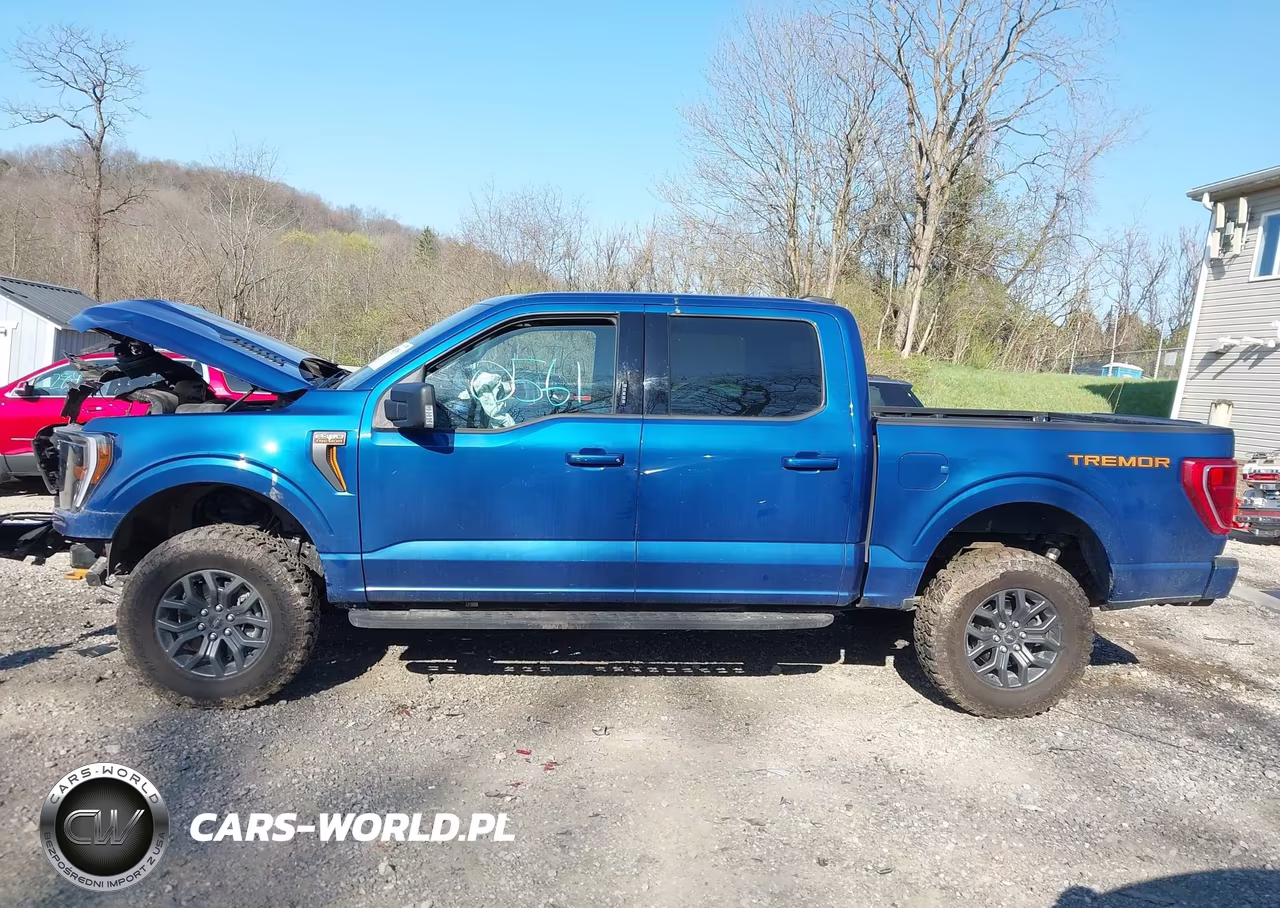 2022 Ford F-150 Tremor VIN:1FTEW1E80NFC13110 - 14