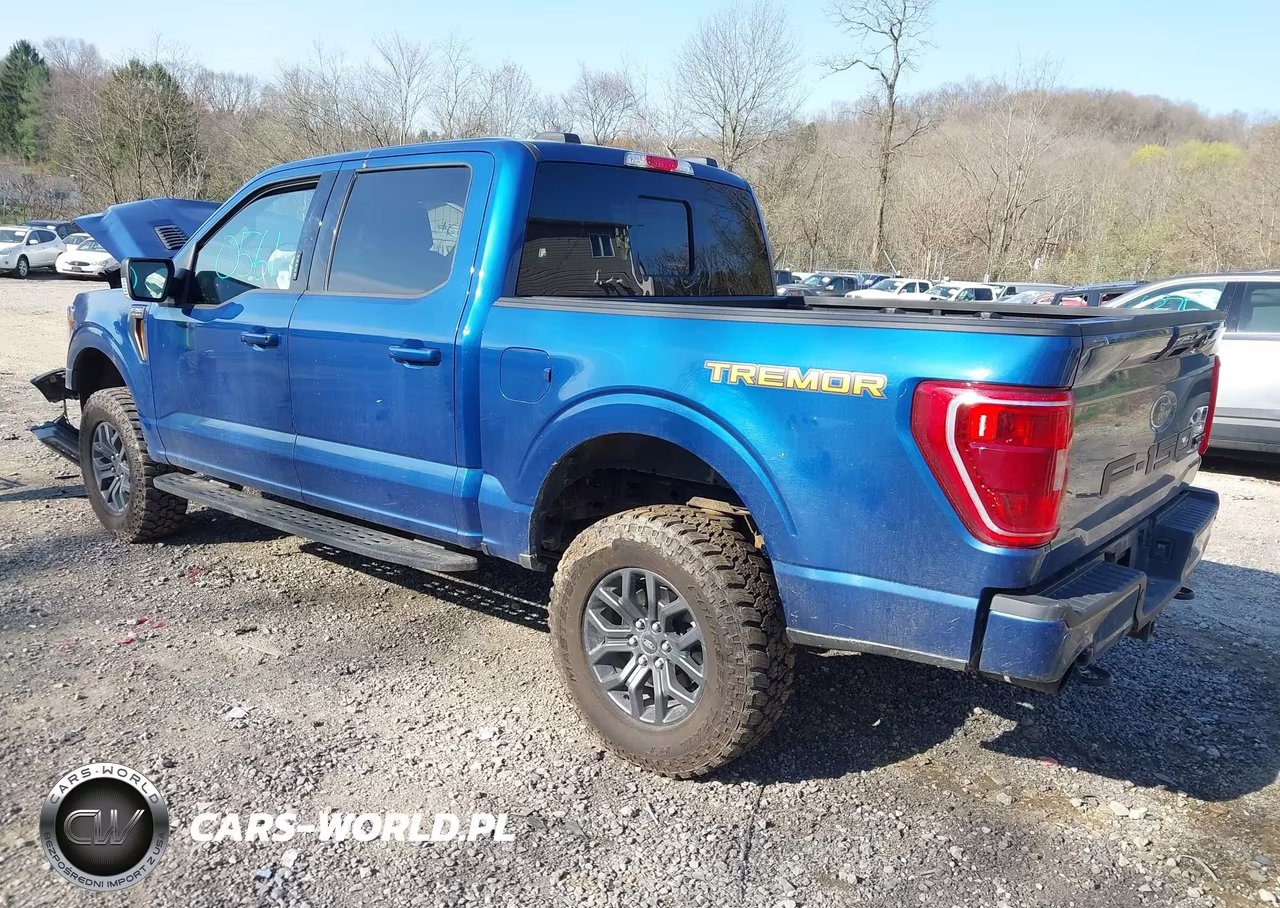 2022 Ford F-150 Tremor VIN:1FTEW1E80NFC13110 - 3