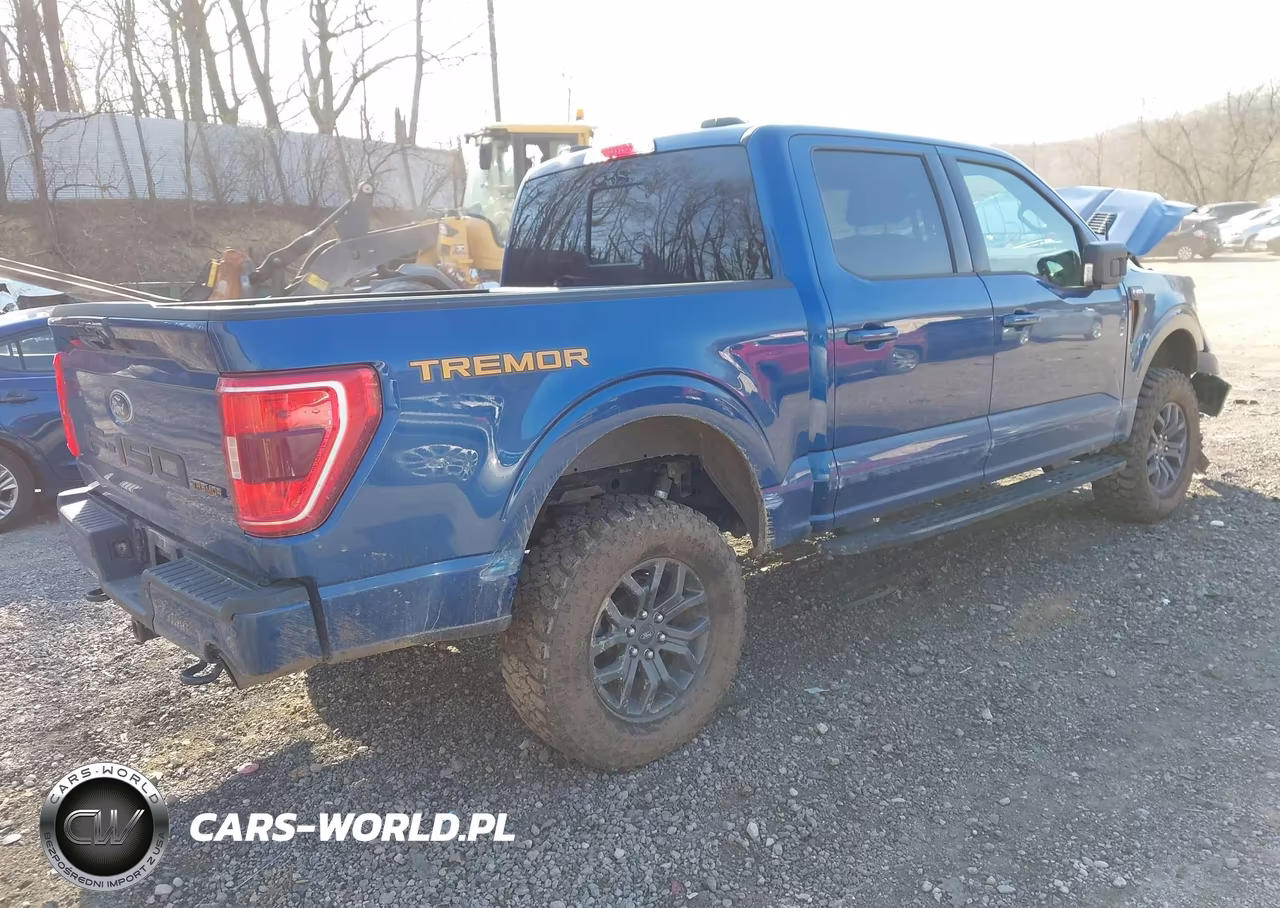 2022 Ford F-150 Tremor VIN:1FTEW1E80NFC13110 - 4