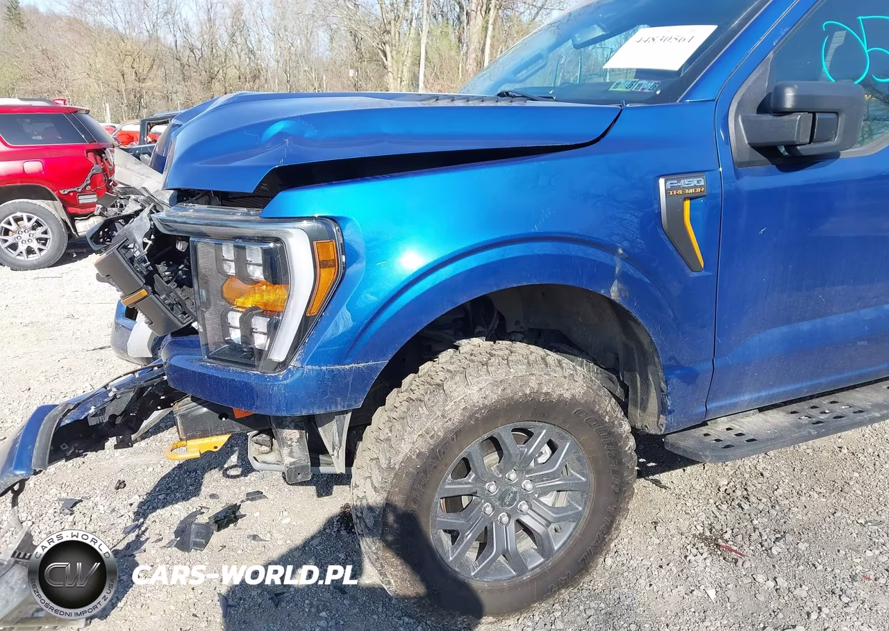 2022 Ford F-150 Tremor VIN:1FTEW1E80NFC13110 - 6