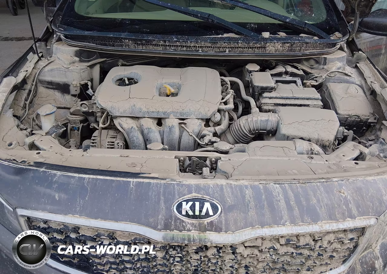 2017 Kia Forte Lx VIN:3KPFL4A77HE082218 - 10