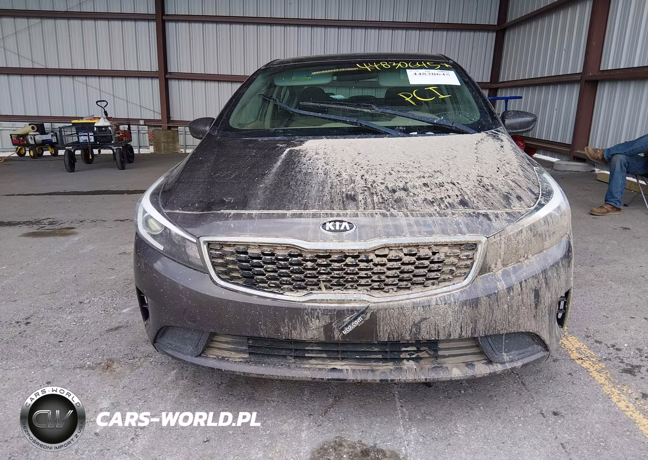 2017 Kia Forte Lx VIN:3KPFL4A77HE082218 - 13