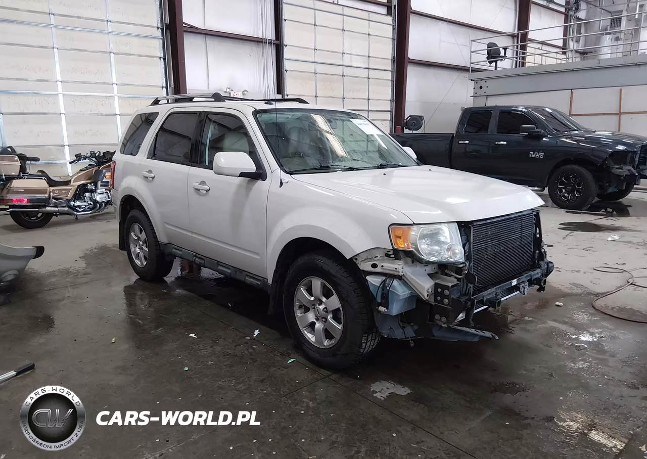 2010 Ford Escape Limited