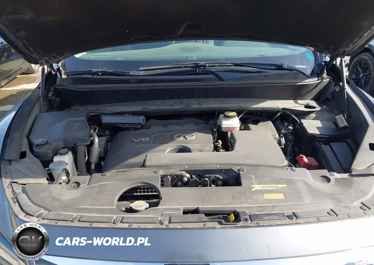 2018 Infiniti Qx60 VIN:5N1DL0MN1JC530956 - 10